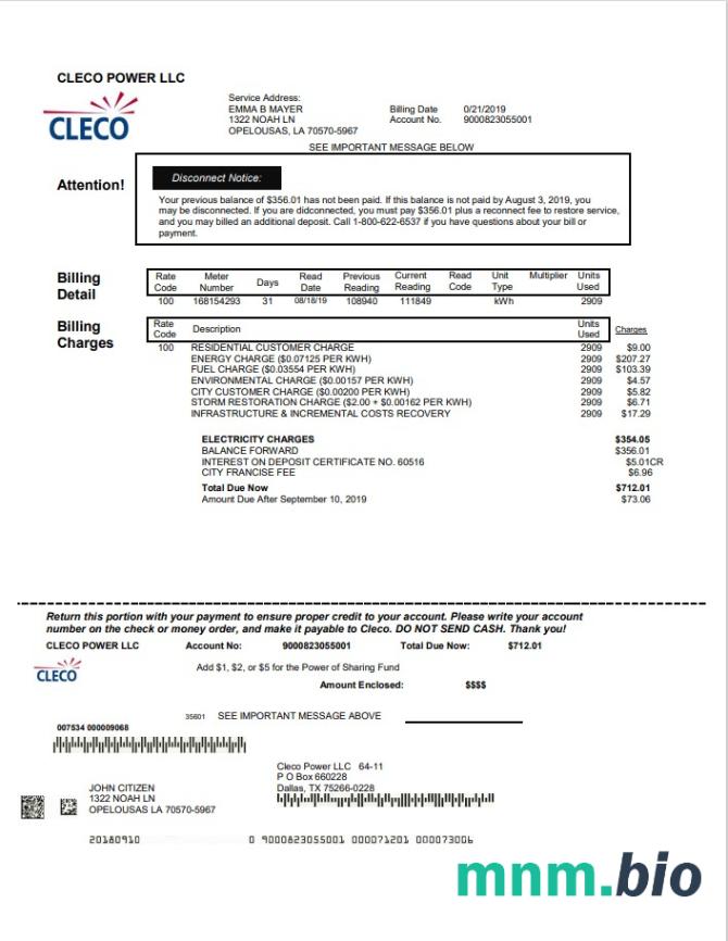 USA Louisiana Cleco Power elektryczność rachunek za media szablon w formacie Word i PDF